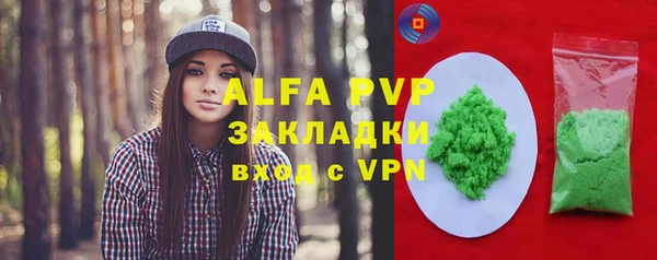 индика Нефтекумск