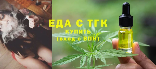 индика Нефтекумск