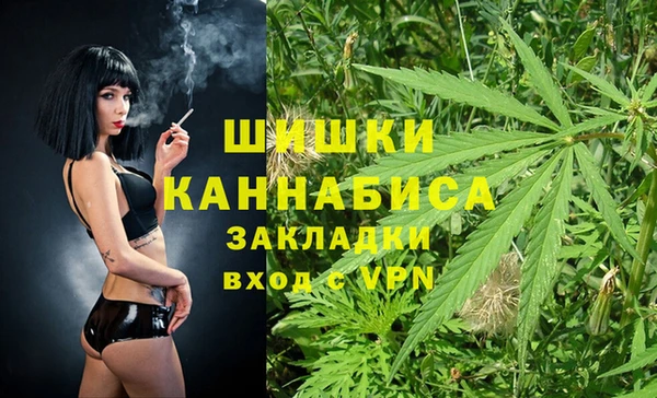 индика Нефтекумск
