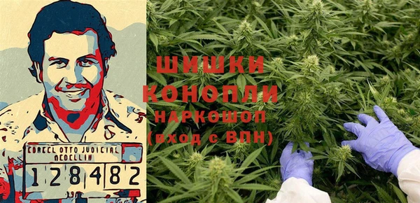 индика Нефтекумск