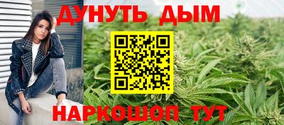 дмт Кингисепп